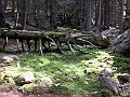 Rumunsko 050